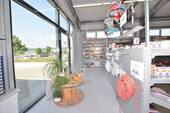 Ausstellung - Halle in Allmendingen