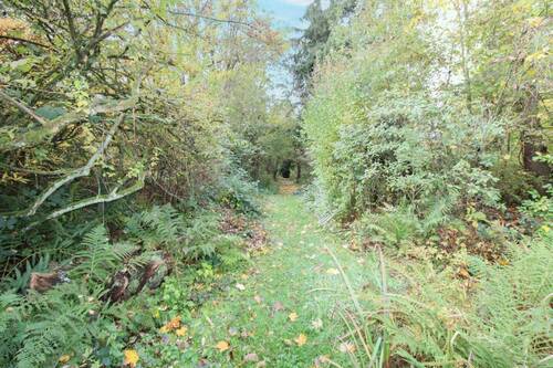 Naturnaher Waldbereich für Erholungspausen - 