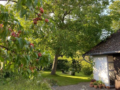 Außenansicht und Garten - 