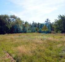 Attraktive Baugrundstücke im idyllischen Haselbach - familienfreundlich und flexibel bebaubar