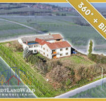 Leben über dem Rebenmeer - Ehemaliges Weingut in Alleinlage und Blick in die Rheinebene - Frankweiler