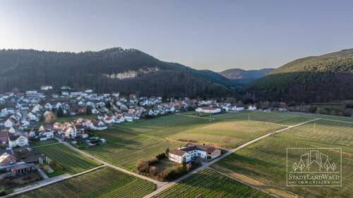 Luftbild - Immobilie-Umgebung - 1 Zimmer Einfamilienhaus zum Kaufen in Frankweiler