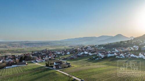 Luftbild - Immobilie-Umgebung - 1 Zimmer Einfamilienhaus in Frankweiler