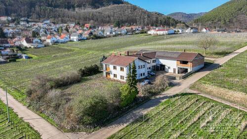 Luftbild - Einfamilienhaus mit 340,00 m&sup2; in Frankweiler zum Kaufen