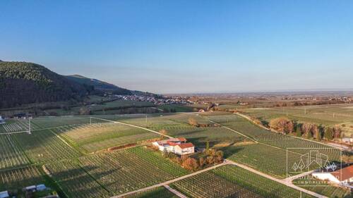 Luftbild - Immobilie-Umgebung - 