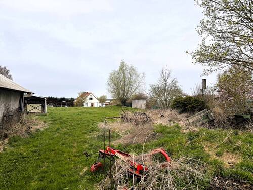 Blick Richtung Koppel - 