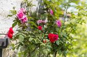 Impressionen - 