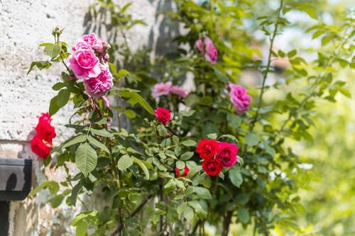 Impressionen - 