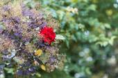 Impressionen - 