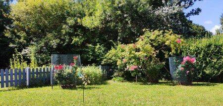 Wiek 2.jpg - Haus am Wasser - 305.000,00&nbsp;EUR Kaufpreis,