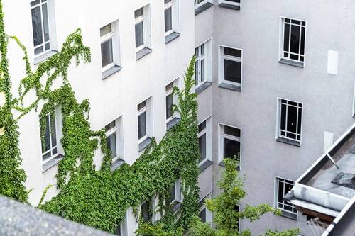 Fassade hofseitig - 