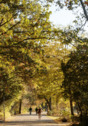 Umgebung_Volkspark Hasenheide - 
