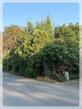 Mühlenbeck-Mönchmühle - Baugrundstück - Grundstück zum Kaufen in Mühlenbecker Land