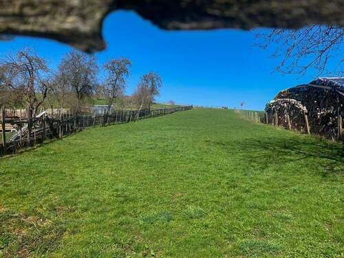 Grün- und Ackerland - 