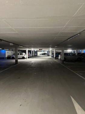 HGL0196_TG_Platz_zufahrt - Einfamilienhaus in Ulm zum Kaufen