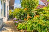 Hausseite - 