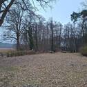 Oberbarnim 20260320_180648 - Grundstück in Buckow (Märkische Schweiz) zum Kaufen