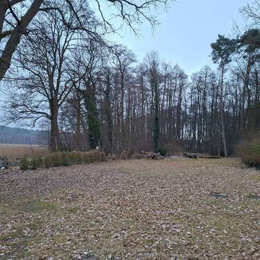 Oberbarnim 20260320_180648 - Grundstück in Buckow (Märkische Schweiz) zum Kaufen