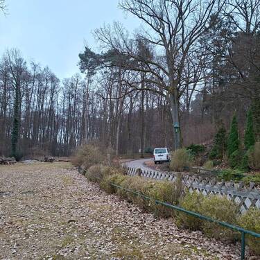 Oberbarnim 20260320_180701 - 