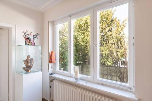 Blick ins Grüne - 