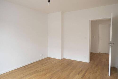 Zimmer3b - 