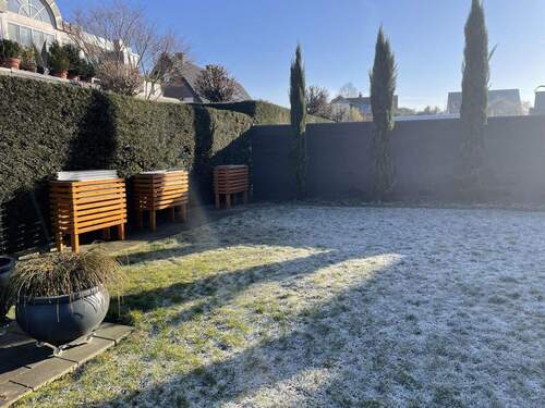 Blick in den Garten - 