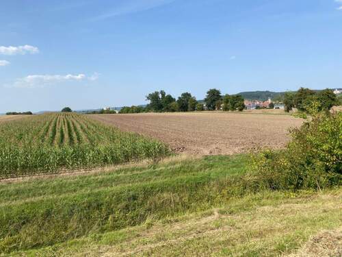 Bild 1 - Landwirtschafts- oder Projektfläche - Nähe Gewerbegebiet von Scheinfeld