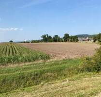 Landwirtschafts- oder Projektfläche - Nähe Gewerbegebiet von Scheinfeld