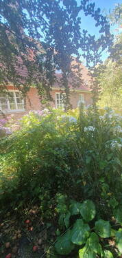Garten Blick aufs Haus - 