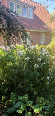 Garten Blick aufs Haus - 