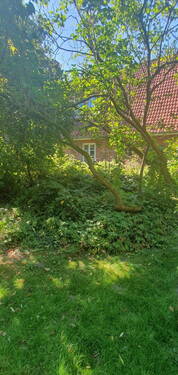 Garten Blick aufs Haus - 