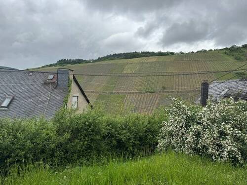 Aussicht - 