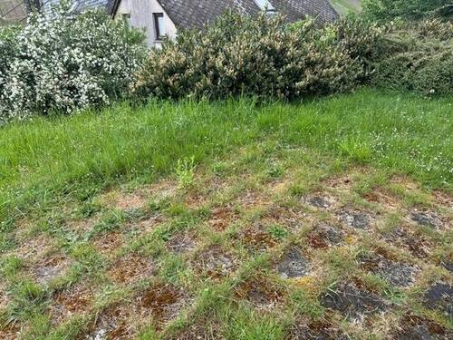 Garten - 