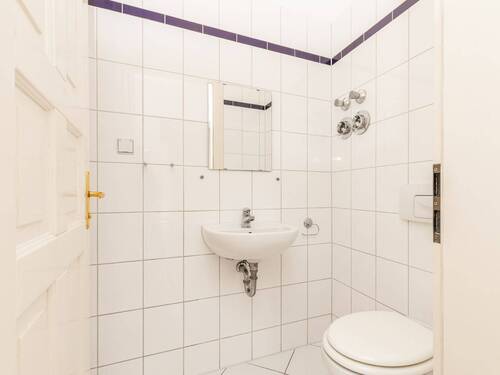 Schlesischer Busch - 