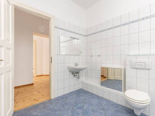 Schlesischer Busch - 