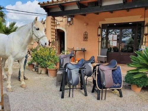Bild 2 - 9 Zimmer Mehrfamilienhaus, Wohnhaus zum Kaufen in Manacor