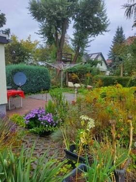 Garten - 2 Zimmer Etagenwohnung zur Miete in Senftenberg