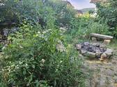 Garten Ausschnitt - 