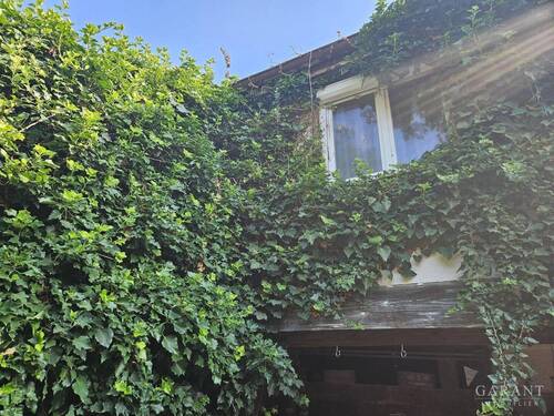 Hausansicht Garten - 