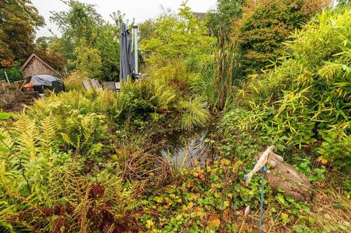 angelegter Teich im Garten - 