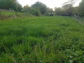Wiese / Weide - 
