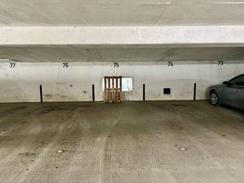 Stellplatz 75 - 