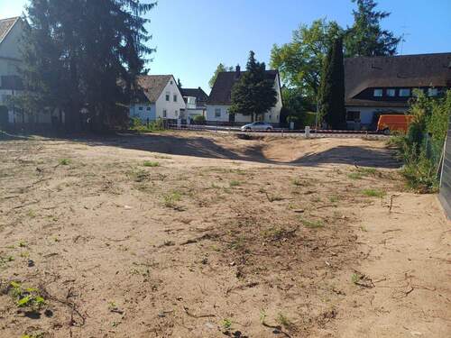 20250429_090629.jpg - 