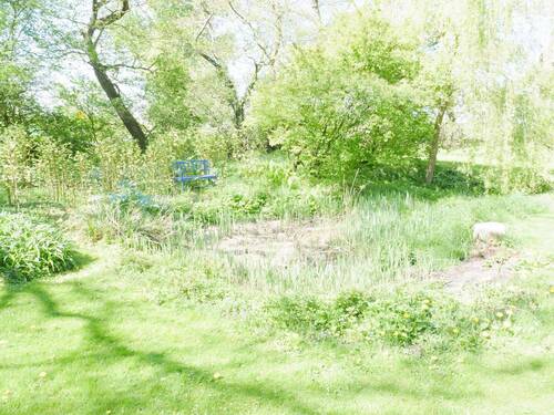 Teich - 