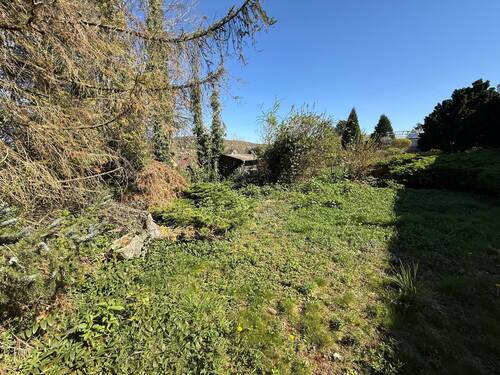 Garten - 