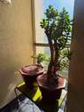 Treppenhaus mit netter Gemeinschaft :) - 