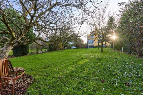 Ihr riesiger Garten - 