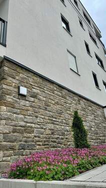 20250603 BUL EF (2).jpg - 