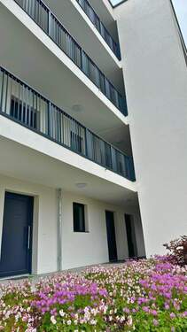 20250603 BUL EF (4).jpg - 