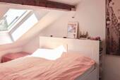 Sclafen 2 DS - 